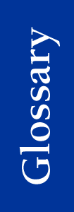Glossary